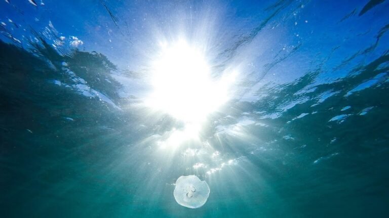 HOMO LUCE GENITUS